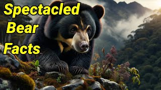 Spectacled Bear Behaviors Understanding Their Solitary Ways [upl. by Eeliak]