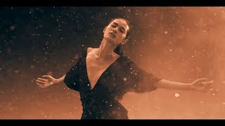 Sterbinszky feat David Schwartz  Moonlight Shadow Official Music Video [upl. by Asilram]