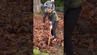 Leaf Raking for Our Neighbors [upl. by Grey230]