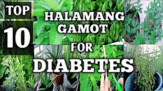 TOP 10 MEDICINAL PLANTS FOR TREATING DIABETES  MGA HALAMANG GAMOT PARA SA DIABETES  Homefoodgarden [upl. by Eelanna503]