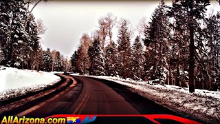 🌲 FLAGSTAFF ARIZONA  Arizona Snowbowl to Downtown  Ski Arizona 🎿 [upl. by Arretak]