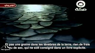 Les Versets Témoins آيات شاهدة  Sourate AlAnam 06 Verset 59 [upl. by Etnod]