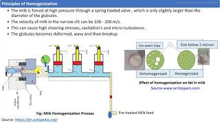 Milk Homogenization Process [upl. by Bywoods]