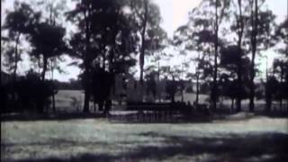 The Life of a Racing Horse 1940s  Film 7296 [upl. by Koziarz]