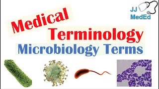 Medical Terminology  The Basics  Microbiology and Infectious Diseases Lesson [upl. by Leizahaj301]