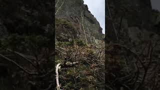 Golden Slipper Second pitch Pavey Ark Lake District rock climbing [upl. by Gnouhp371]