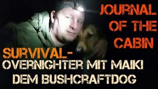 ✔SURVIVALOVERNIGHTER mit Maiki SurvivalDog im Winter um 03 Grad ohne Shelter [upl. by Randy779]