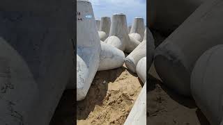 concrete tetrapods helps to resist the force of oceansoil erosion and waves [upl. by Oiluig]