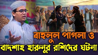 বাহলুল পাগল ও বাদশাহ হারুনুর রশিদের ঘটনা । mufti sayed ahmad waz 2024 [upl. by Derfla]