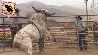 Retooo Gansito de Nayarit Vs HarleyÂ¡Â¡ Rancho La Furia en el Sherifs posse Grounds de Salinas CA [upl. by Nashoma]