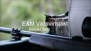 EampM vildsvinfilm Åteljakt del1 [upl. by Ahsied]