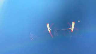 Infected Mushroom  Live at Liberty Hall Sydney 29062024  Deeply Disturbed  Saeed [upl. by Heti]