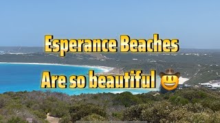 The beaches around Esperance are so beautiful 🤠 esperance beaches australia blue [upl. by Schach]