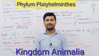 105 Phylum platyhelminthes  kingdom Animalia  Fsc Biology class 11 [upl. by Bevvy]