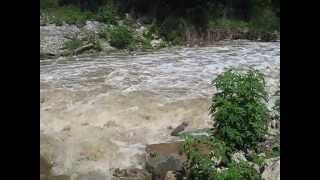 Flooding Village Creek in Arlington Texas [upl. by Esac]