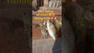 Swcc light castingultra light casting reelsvideo jubailbeach seafishing beachfishing [upl. by Nilrac990]