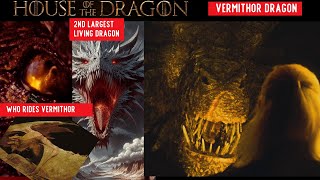 Who Rides Vermithor Dragon in House of Dragons  Hugh Hammer a blacksmith [upl. by Hiamerej]