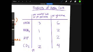 Krebs Cycle AP BIOLOGY [upl. by Hsina977]