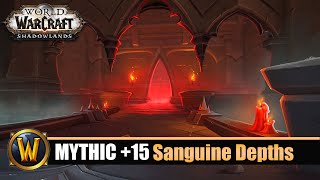 WOW Sanguine Depths Mythic 15  In Time Season 1 [upl. by Neeluj]