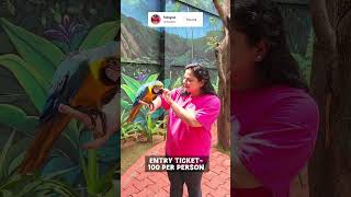 BIGGEST PARK IN CHENNAI Subscribe richestilo chennai shortsyoutube shortvideo shortsvideo [upl. by Nimrak]