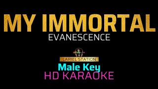 MY IMMORTAL  Evanescence  KARAOKE  Male Key [upl. by Oicinoid]