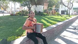 El Palomito 🎶 Danny Barrón desde el Centro de Iguala  Guerrero [upl. by Airamas]