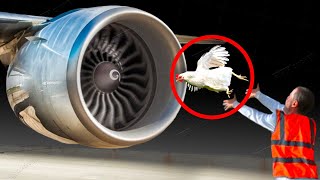 This Is How Airplane Engines Are Tested [upl. by Merce]