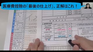 医療費控除の明細書までは仕上げた、その後が分からない人へ [upl. by Lerner]