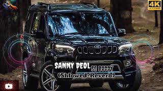 Sanny DEOL se boddy 💪😍shlowed reverbraju panjavi🎶💫 [upl. by Sparke]