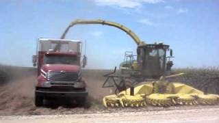 Silage Harvesting in USA Video [upl. by Seaden528]