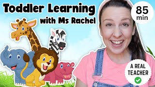 Toddler Learning with Ms Rachel  Learn Zoo Animals  Kids Songs  Educational Videos for Toddlers [upl. by Christoper]