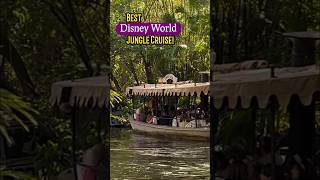 Best Jungle Cruise Disney World [upl. by Sorcha]