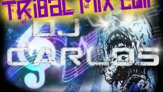 TRIBAL MIX 2011 6 DJ Carlos [upl. by Sihon]