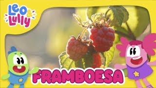 A Framboesa  Conhecendo as Frutas  Aprender Brincando [upl. by Nossila]