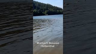 Abkühlung am Marbach Stausee Hüttenthal Odenwald 💦 [upl. by Burra]