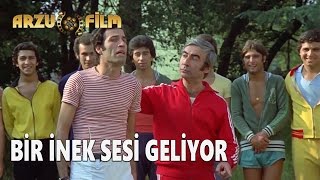 Bir İnek Sesi Geliyor  Hababam Sınıfı Uyanıyor [upl. by Doubler]