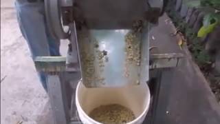 Coffee Bean Extractor Pulper Pulping Machine [upl. by Inkster638]