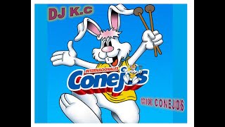 MIX CUMBIA INTERNACIONALES CONEJOS DJ KC 2021 [upl. by Zina]