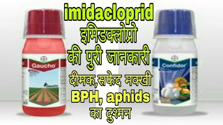 दीमक सफेद मक्खी BHP का दुश्मन एक वार में सब साफimidacloprid insecticide full information [upl. by Gildea395]