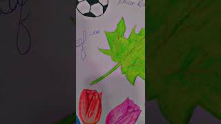 Ball 🏀 leaf 🍀 tulip 🌷trending art artist drawing colourpencil artandcraft viralvideo [upl. by Netsirhk]