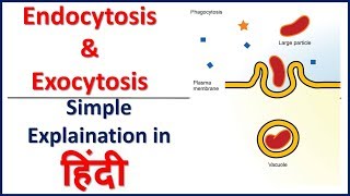 Endocytosis and Exocytosis Simple Explaination in Hindi  Bhushan Science [upl. by Meekah54]