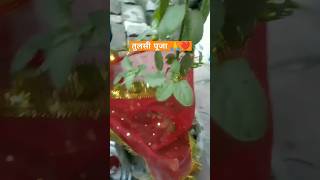 तुलसी पूजा करते समय ध्यान रखें इन बातों का🙏🙏 Dev Uthani Ekadashi 2024trending viralvideo shorts [upl. by Wallack]