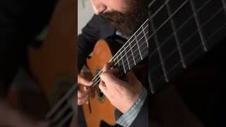 One of the Best Zelda Trailer Themes on Guitar shorts zelda videogamemusic [upl. by Devine]