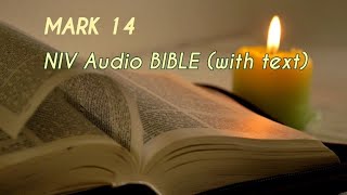 Mark 14  NIV Audio BIBLE with text [upl. by Deibel]