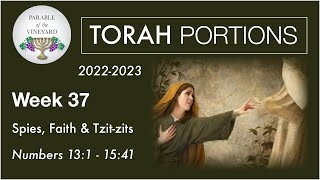 Torah Portions  Week 37  Spies Faith amp Tzitzit  Numbers 13  15 20222023 [upl. by Ploss]