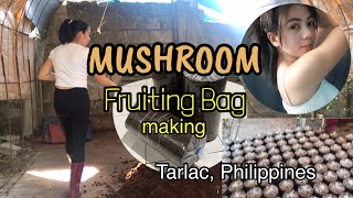 2 MUSHROOM CULTURE FRUITING BAG MAKING EPISODE Tarlac Philippines [upl. by Greysun468]