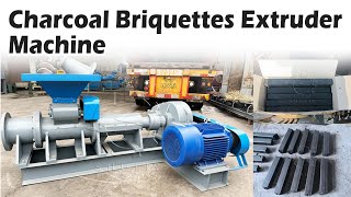 How to Make Charcoal Briquettes with a Powerful Briquette Machine charcoal coal briquettes [upl. by Ellita]