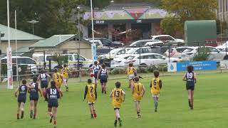 Mini Colts Round 1 Vs Lobethal 2024 [upl. by Earas601]