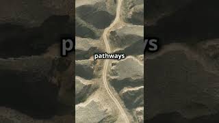 Did you know about Nazca Lines mystery mysterious nazcalines peru shorts trending nazca [upl. by Matthias]