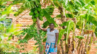 Agroecology Farming in Kitui  Carols Story [upl. by Tterej]